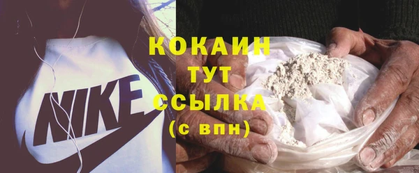 дживик Снежинск