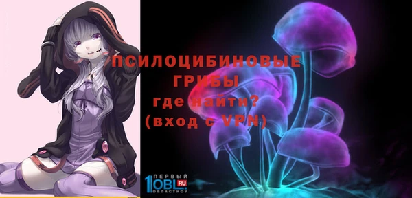 дживик Снежинск